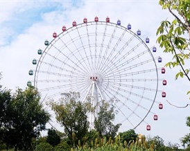 ̫�������Ž�