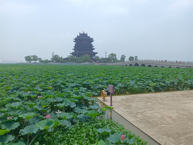 阳澄湖旅行团建