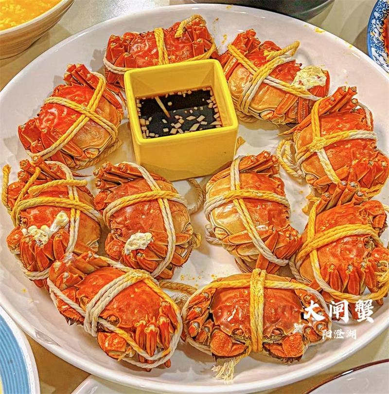 阳澄湖旅行团建