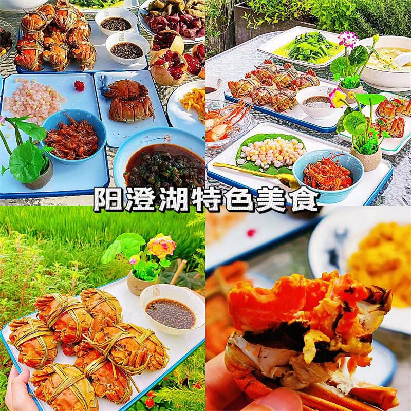 阳澄湖大闸蟹