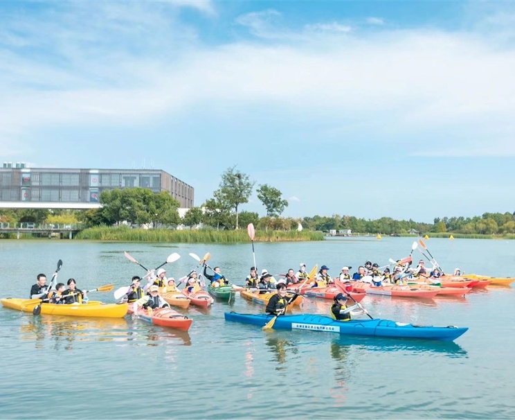 ̫���Ž������