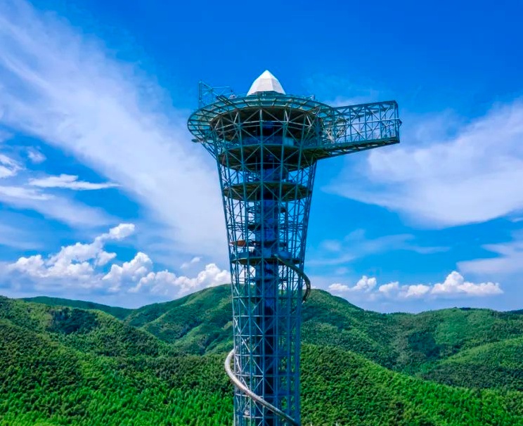 ���ɭ���Ž�